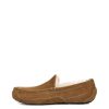 Men UGG | Ascot Chestnut