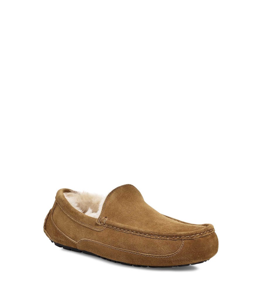 Men UGG | Ascot Chestnut